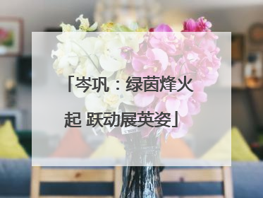 岑巩：绿茵烽火起 跃动展英姿